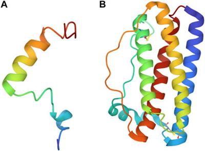 Bacillus subtilis engineered for aerospace medicine: a platform for on-demand production of pharmaceutical peptides